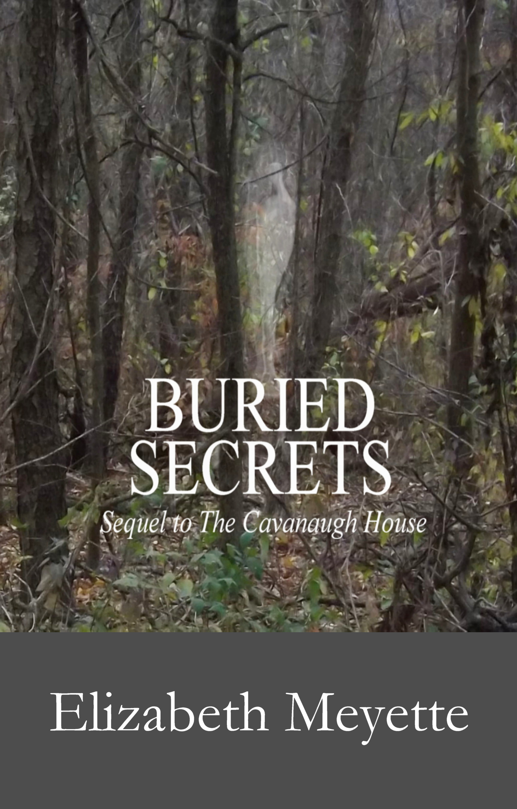 Buried Secrets Cover Pic - 9-19-16-2